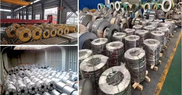 Hot Rolled Coil Steel PPGI HDG Gi Secc Dx51 Zinc Coated Hot Dipped Galvanized Steel Coil Sheet Plate