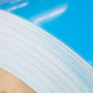 High Quality Pre-Painted Steel Coil