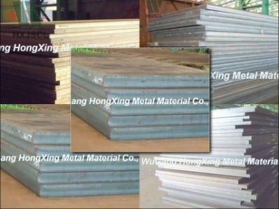 Hot Quality! ASTM A36 Ms Steel Plate