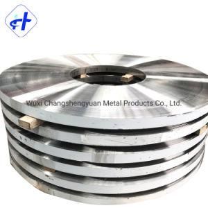 DIN1.4404 ASTM (304 304L 321 201 430 310S 316L 316) Stainless Steel Strip for Building Material