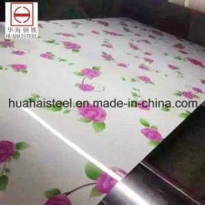 Galvanized Prepainted Flower Pattern PPGI for Building House