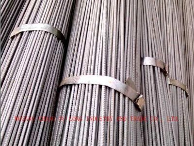 Hot Rolled Deformed Steel Bar/Rebar Steel/Iron Rod for Construction