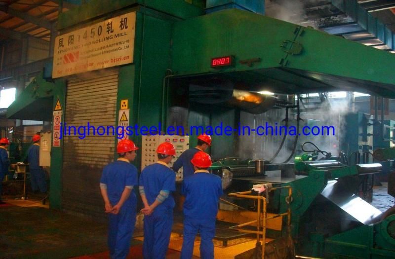 Galvanzied Steel Coil/Gl/Galvanise Steel Coil/Galvanize Steel Coil/Zinc Steel Coil with ISO 14001