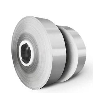 LC Tt Payment 0.1mm 0.2mm 0.3mm 1mm 2mm 3mm Cold Rolled AISI 201 301 304 316 316L 410 420 421 430 439 Stainless Steel Strip