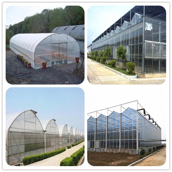 ERW Carbon Steel Pipe Scaffolding Steel Pipes Greenhouse Galvanized Steel Pipes