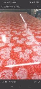 Top Level Prepainted Galvanized Color Coated Steel and Iron PPGI for Manufacturer Price