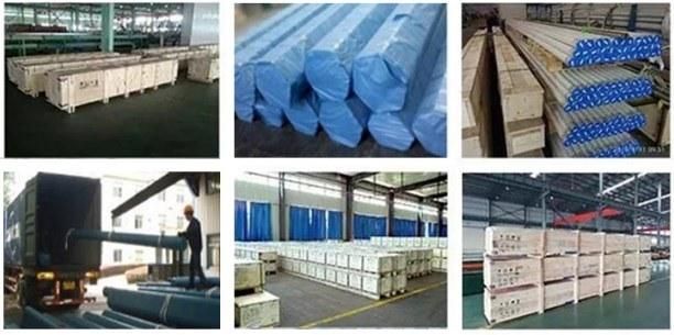 Carbon Steel Coil ASTM A36 JIS Ss400 Hot Rolled Carbon Steel Coil