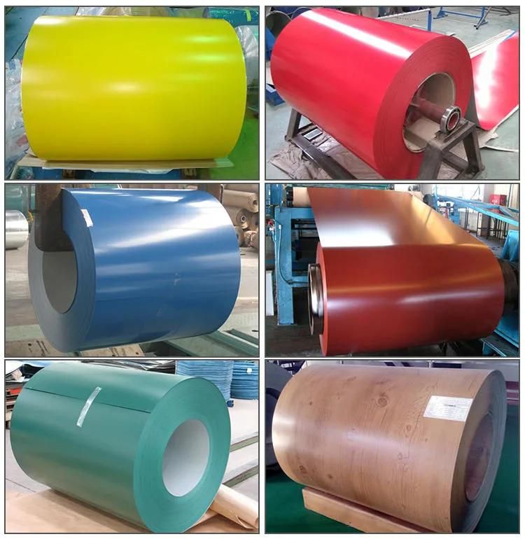 PPGI Steel Roll Galvanized Coated