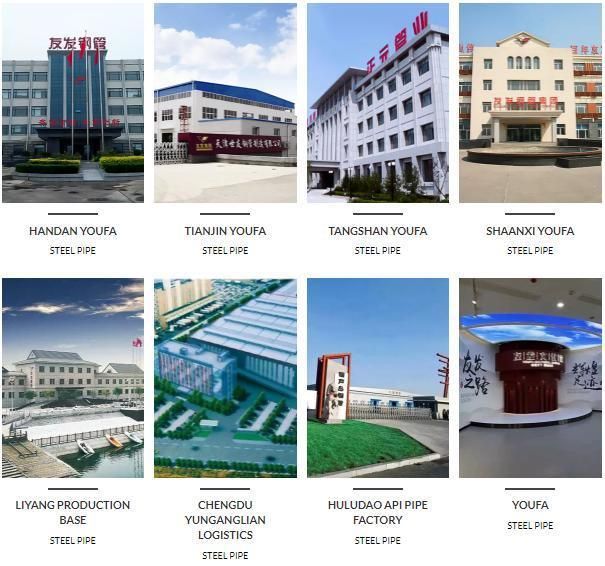 Square Tube/Hollow Section/Steel Tube/Steel Pipe