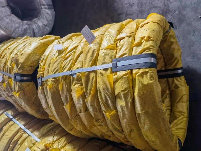 Hot Dipped Gi Galvanized Bright Zinc Coated Steel Wire