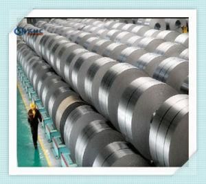 Cold Rolled Stainless Steel Coil 304 410 430 904 2205