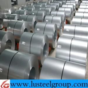 Galvanized Steel Coil/Galvanized Iron Coil Price / China Roofing Materials