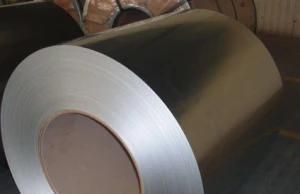 PPGI/HDG/Gi/SPCC Dx51d Zinc Cold Rolled/Hot Dipped Galvanized Steel Coil
