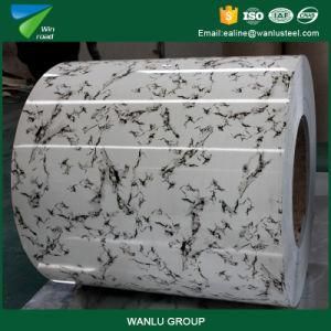 High Quality Prepainted Galvanized Steel Coil