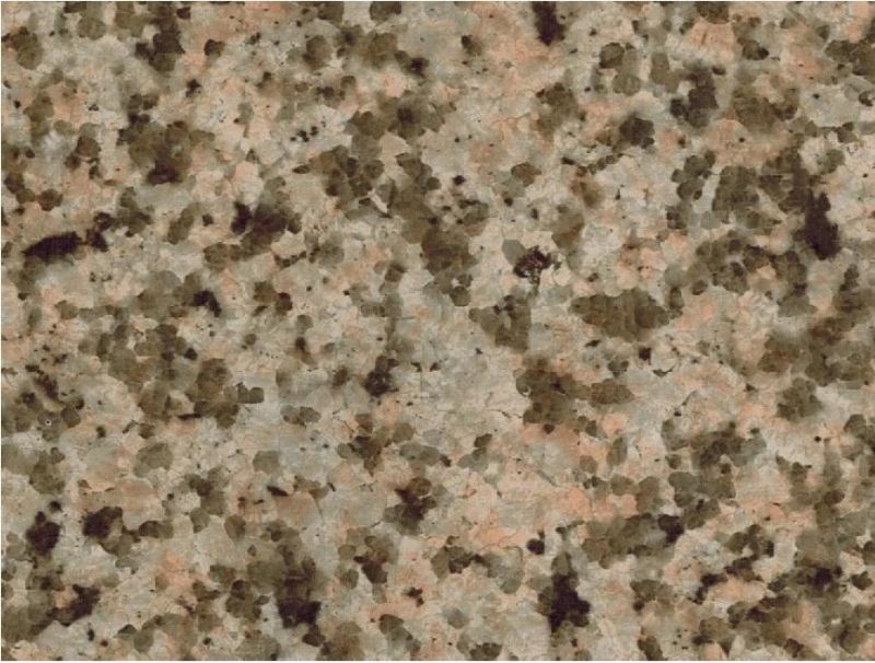 Marble Pattern Color Coating Steel Coil Used for Wall Panel