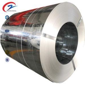 Shandong Factory Sale Dx51d Z100 Prime Hot Dipped Galvanized Steel Coil
