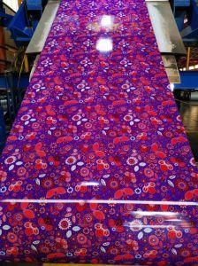 Hot DIP Galvanized, Printed Color Coated Steel Coil (PPGI PPGL GI GL)