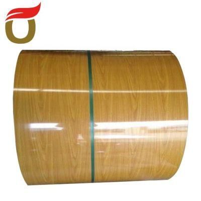 Pre-Painted PPGI Color Galvanized Steel Coil for Building Material Construction