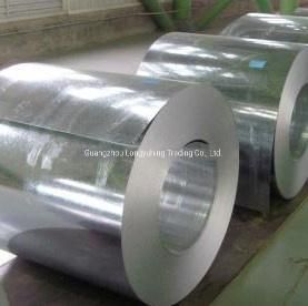 Low Price Prepainted Galvanized Steel Coil Steel Iron Sheet