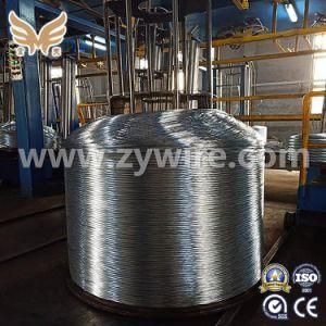 Steel Wire for Sale