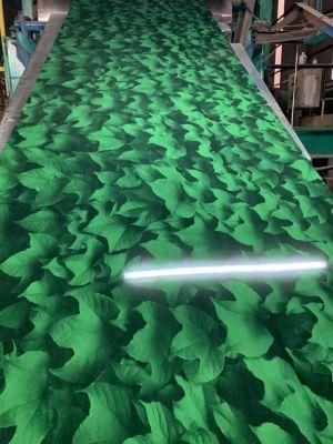 Iron Steel/Metal Roofing Sheets Low Prices /Pattern PPGI Coil Roll Building Material