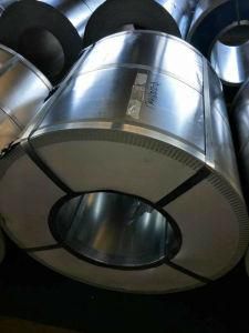 Prepainted Galvanized Steel Coil for Sale