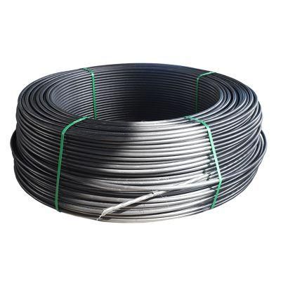 Low Price 20mm Galvanized Stainless Steel Wire Rope