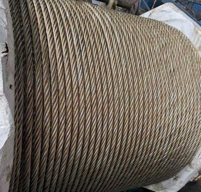 Steel Wire Rope 6X19 6X36 6X37 35wx7 4X31ws 4V39s+5FC