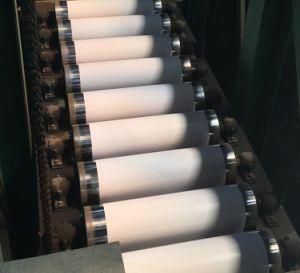 Manufacturer Color Coated Steel Coil PPGL Steel Coil