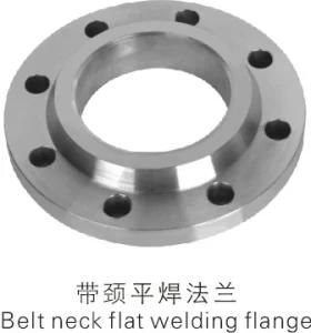 Stainless Steel 304 316 Sorf Flange