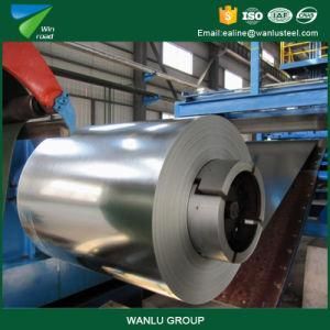 Provider Best Quality Color Coated Steel Coil/PPGI/PPGL, PPGI. PPGL, Gl PPGI Coil