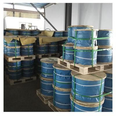 Stainless Steel Wire Ss 201, 202, 302, , 304, 310S, 316, 321, 304L, 316L