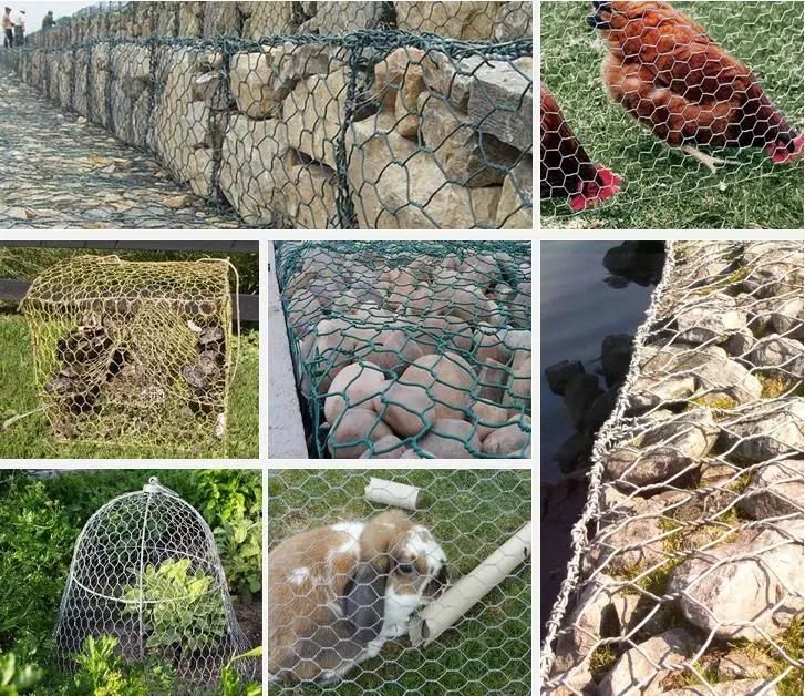 Fencing Net 1/4 Inch Galvanized Welded Iron Wire Mesh for Rabbit Cage