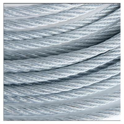 Hot Sale Factory Direct High Tensile Steel Cable Stainless Steel Wire Rope