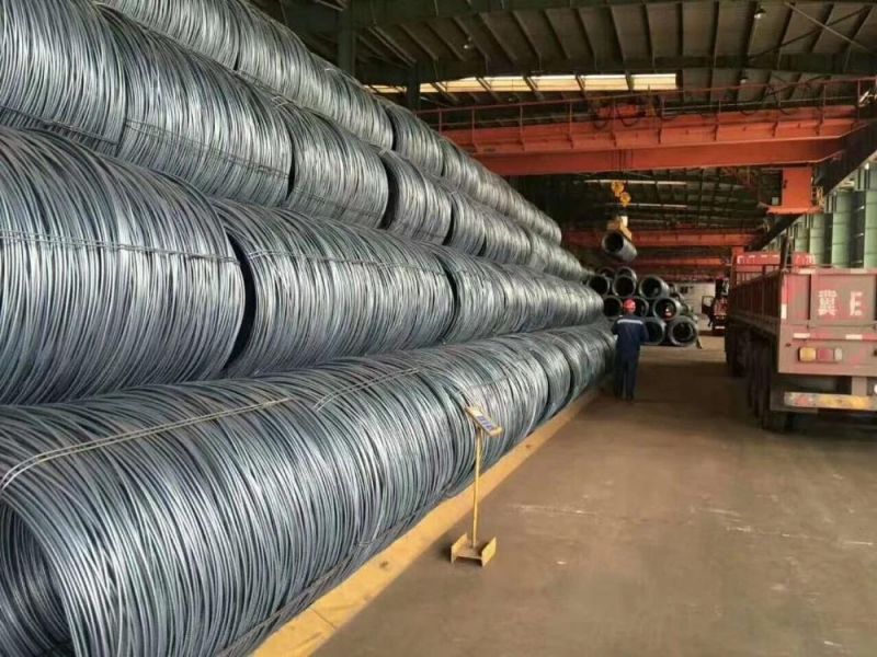 SAE 1008 Low Carbon Hot Rolled Steel Wire Rod in Coil