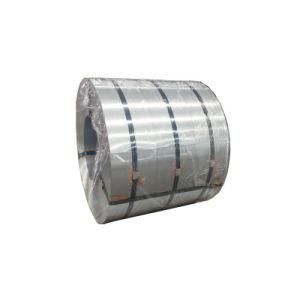 Hot Dipped/Zinc Coated Sheet Use for Decoration
