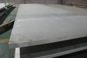 Brass Hairline 304L Sheet