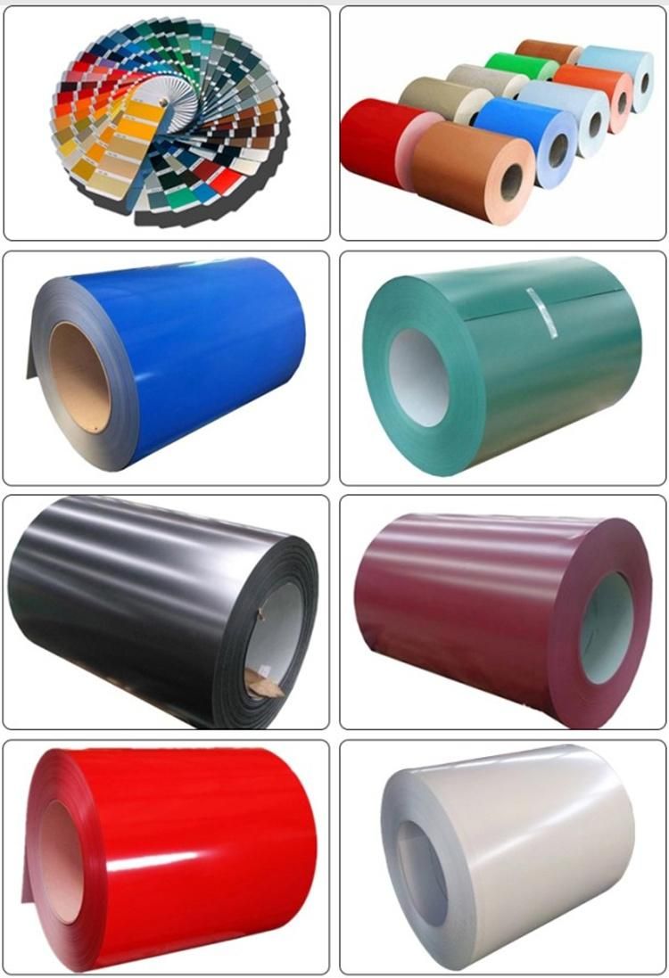 PPGI Coil Prepainted Galvanized Steel Coils Hot Dipped Galvanized Color Steel Coil Sheets Price