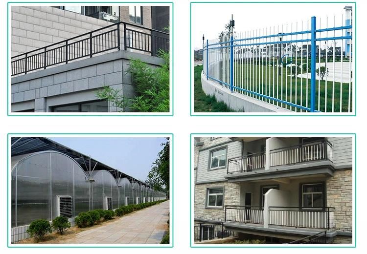 Round & Squarehot Dipped /Pre Galvanized Steel Pipe for Scaffolding and Construction