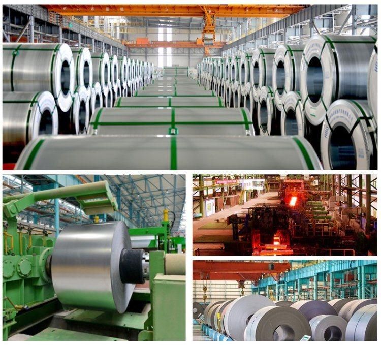 High Quality Color Coated Stainless Steel Coil Strip Price