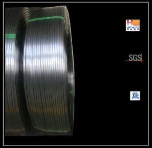 SAE1008 Grade Flat Steel Wire for Making Baking Pan