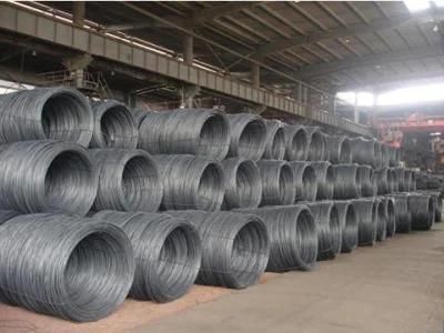 5.5-12mm High Carbon Steel Wire Rod Factory in China
