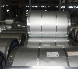 0.21mm Galvanized Steel Sheet in Coil Manufacturer