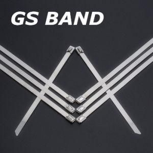 SS304/316 Naked Self-Locking Stainless Steel Cable Ties