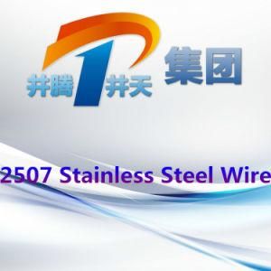 2507 Stainless Steel Wire, Excellent Quality, Good Survice, Made in China