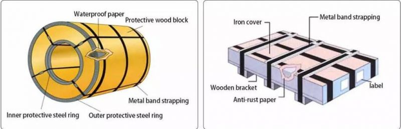 High Quality AISI 0.3-3mm Color Coated Building Materials PPGI Steel Coil with ISO