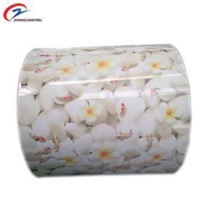 PE Regular Flower Grain/Prepainted Galvanized Steel Coil/PPGI Coils Price
