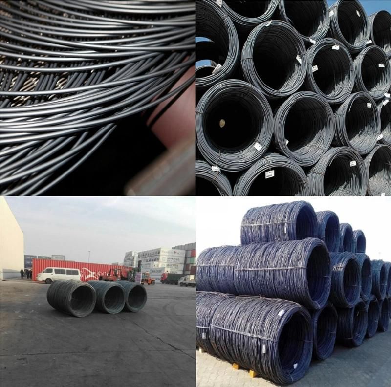 High Quality 5.5mm-14mm Low Carbon Steel Wire