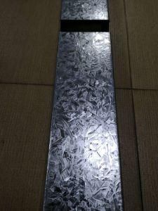 Camelsteel Best Quality Gl/Gl/PPGI/PPGL Steel Coil/Sheet