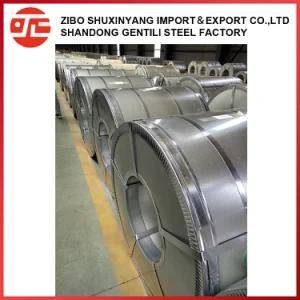 Home Appliance Materials Prepainted Galvanized Steel Coil PPGI